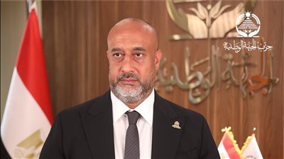 بعد فوزه بالانتخابات.. حسام سعيد: مجلس الشيوخ بيت الخبرة لدعم مؤسسات الدولة