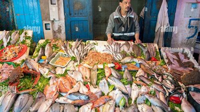 أسعار الأسماك والجمبري اليوم الأحد 13 يوليو 2025 في الأسواق