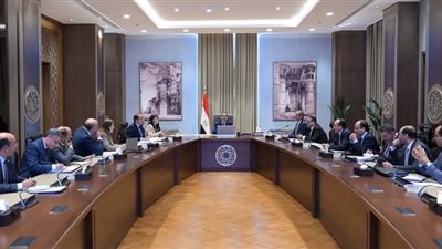 الحكومة: 7.9 مليار دولار حصيلة الصادرات المصرية في الربع الأول من العام المالي 24/25