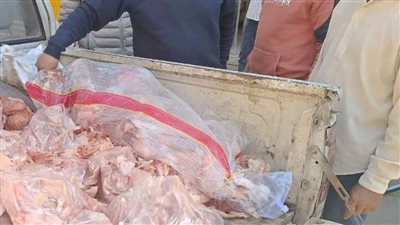 ضبط ربع طن أجزاء دواجن ولحوم وكبدة غير صالحة للاستهلاك الآدمي بالمنوفية