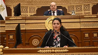 برلمانية تطالب بإعادة تقييم مبالغ التعويضات التى يتم صرفها فى حالة الأزمات