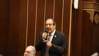 برلمانية مستقبل وطن: عهد الرئيس السيسي شهد أكبر مخصصات لترسيخ الحماية الاجتماعية