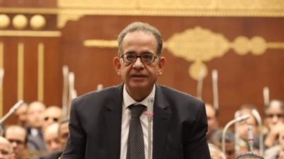 برلمانية الوفد: الحماية الاجتماعية تعاني من الروتين والجمود