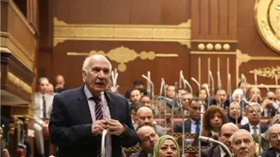 النائب السيد عبد العال: التنمية الاقتصادية حل مشاكل الرعاية الاجتماعية