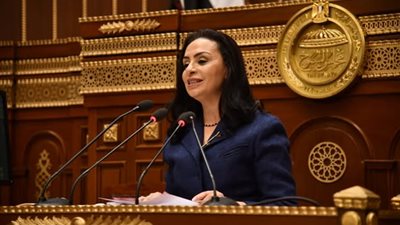 وزيرة التضامن فى جلسة مجلس الشيوخ: 5 محاور أساسية لـ الحماية الاجتماعية 