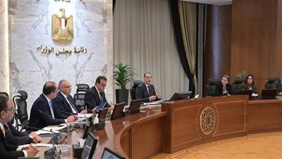 الحكومة تناقش تيسير إجراءات دخول ماركات عالمية يبحث عنها السائح في المولات