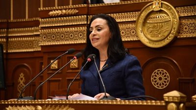 مايا مرسي.. ارتفاع عدد أبناء أسر التكافل إلى 5.5 مليون 