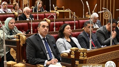 بحضور وزير الشئون النيابية .. وزيرة التضامن: نعمل على تعزيز قدرة منظومة الحماية الاجتماعية للتكيف مع الأزمات