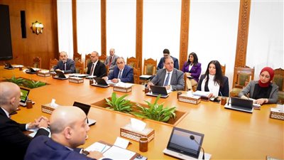 وزير الخارجية: نهتم بمنظومة التعليم وفتح أسواق جديدة للعمالة المصرية في الخارج