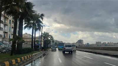 متى ينتهي فصل الشتاء؟.. أيام تفصلنا عن الربيع وهذا ما يحدث بالطقس