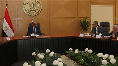 وزير الكهرباء يتابع تنفيذ خطة تطوير الشبكة وتعزيز استدامة الطاقة حتى 2040