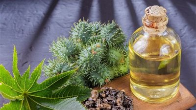 زيت الخروع: الحل الطبيعي لإعادة نمو الشعر في المناطق الصلعاء