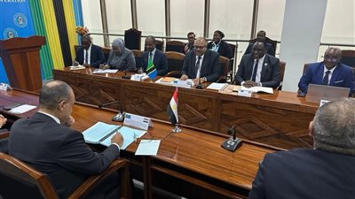 مباحاثات ثنائية بين وزير الخارجية ووزير الخارجية والتعاون الشرق إفريقي بجمهورية تنزانيا المتحدة