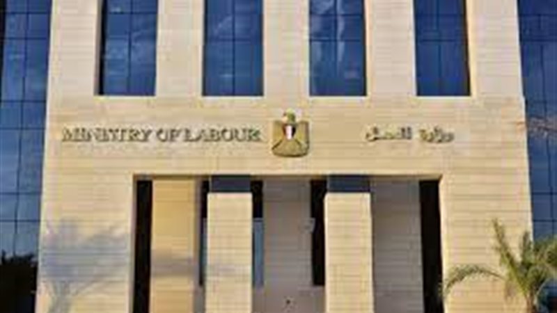 وزارة العمل
