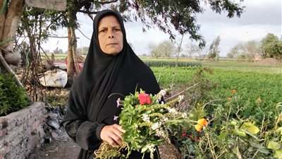 أفنت شبابها في تربية أبناءها.. الحاجة أم أحمد: عمري ضاع وسط الزرع وبناشد الرئيس السيسي يطلعني عمرة