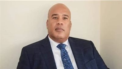 نجل أيمن العشري لـ«نيوز رووم»: سيتم الإفراج عن والدي الخميس