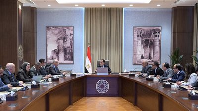 الحكومة : توجيهات رئاسية بسرعة توفير الاحتياجات المطلوبة لكافة مشروعات الاستصلاح الزراعي الجديدة