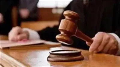 خطف وهتك عرض فى الطريق العام.. تأجيل محاكمة 28 متهما بالجيزة