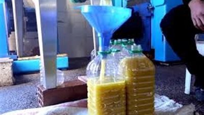  سقوط نصاب الشهادات المزيفة وضبط مصنع زيوت سيارات مغشوشة فى الجيزة  