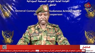 صحفي سوداني: الجيش السوداني تحرك بموجب مهامه الدستورية لحماية الدولة (فيديو)