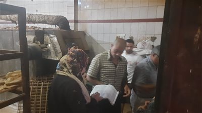 خلال 48 ساعة.. تحرير 199 محضر مخالفات مخابز وأسواق بالمنوفية