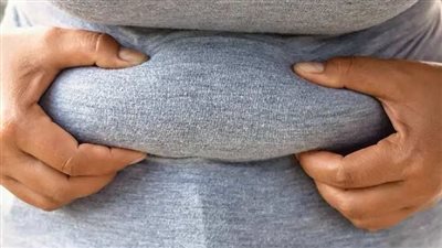 دراسة تكشف دور الخلايا الدهنية في مقاومة الأنسولين والالتهابات