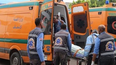 دهسته سيارة.. مصرع مسن في حادث تصادم بديرب نجم بالشرقية