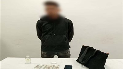 حقيقة فيديو سرقة سور حديدي لأحد الكباري بالقاهرة وتفاصيل ضبط سارق حقيبة سيدة بمدينة نصر