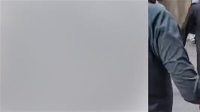 فيديو صادم.. شاب يطلق كلب بيتبول شرس على كلب أليف في المنيل