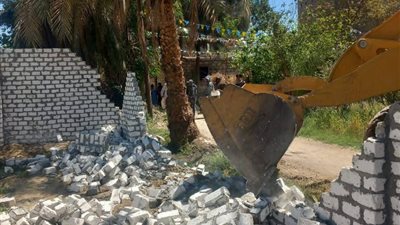 إزالة فورية لـ 13 حالة بناء مخالف على أراضي الدولة بقنا