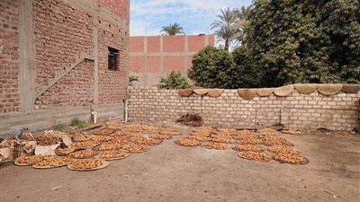 أيس كريم الغلابة.. مراحل صناعة الجلاب في قرى نجع حمادي بقنا (صور)