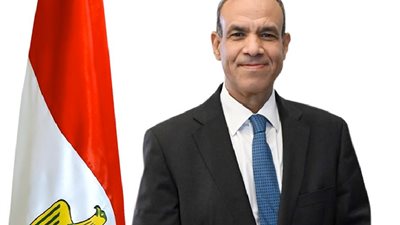 «وزير الخارجية» يدعو لاستعادة الهدوء في البحر الأحمر للحفاظ على حرية الملاحة (فيديو)