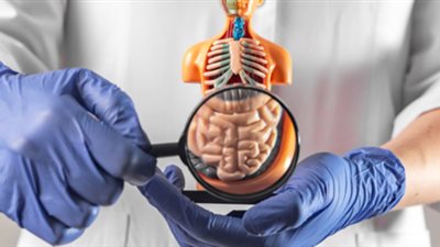 «أخصائي باطنة» يكشف أسباب متعددة وأعراض نقص الكالسيوم (فيديو)