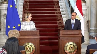 وزير الخارجية: قمة مصرية أوروبية مرتقبة لتعميق التعاون المشترك | فيديو