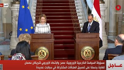 الاتحاد الأوروبي: مصر عنصر أساسي في معالجة الأزمات الإقليمية (فيديو)