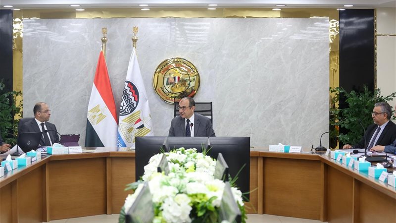 وزير قطاع الأعمال