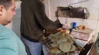 محافظ الغربية يوجه بحملة تفتيشية على مخابز بندر زفتى لضبط المخالفات التموينية والصحية