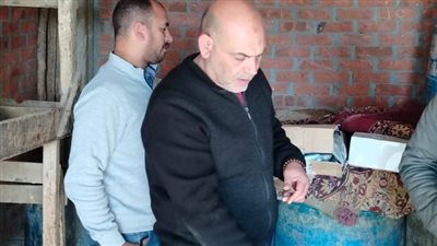 ضبط ٢ ونصف طن سردين وأسماك غير صالحة للاستهلاك بالمنوفية