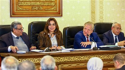 التنمية المحلية تعتمد الكتل والمتناثرات المبنية في 16 محافظة