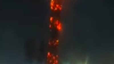 حريق يلتهم نخلة في منطقة سبرباي بطنطا دون خسائر بشرية