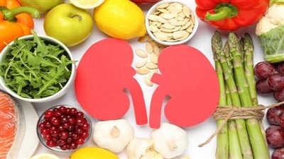 أطعمة ضرورية لصحة الكلى: 7 خيارات غذائية تحافظ على وظائفها