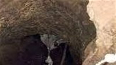 نباش المقابر.. مريض نفسي يفتح المقابر بالمنوفية ويخرج جثة متوفي