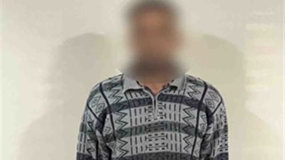 كشف ملابسات فيديو التحرش بسيدة في المنيا وضبط الجاني