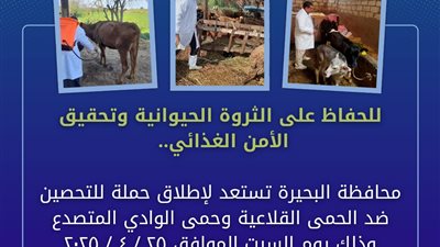 محافظة البحيرة تستعد لإطلاق حملة للتحصين ضد الحمى القلاعية والوادي المتصدع
