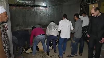 «عجل وجلسة عرفية»  .. مشاهد من صلح أسرة فتاة «ترسا» والمتهمين  