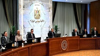 بعد موافقة الوزراء.. ما هي شروط استيراد سيارات ذوي الإعاقة؟