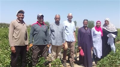 وزير الزراعة يشيد بجهود علماء وخبراء مركز البحوث الزراعية