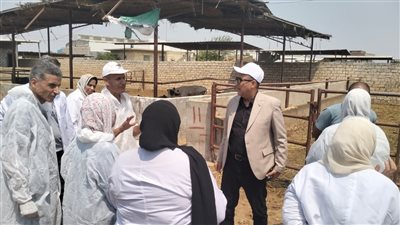 جهود وزارة الزراعة لحماية الثروة الحيوانية من الحمى القلاعية