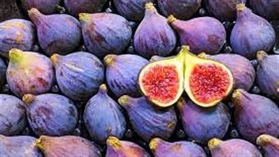 في موسمه..التين البرشومي الفاكهة الذهبية ذات الفوائد الصحية المذهلة