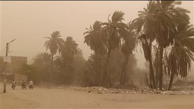 لسوء الأحوال الجوية.. محافظة أسوان تعلن إيقاف حركة الملاحة النهرية